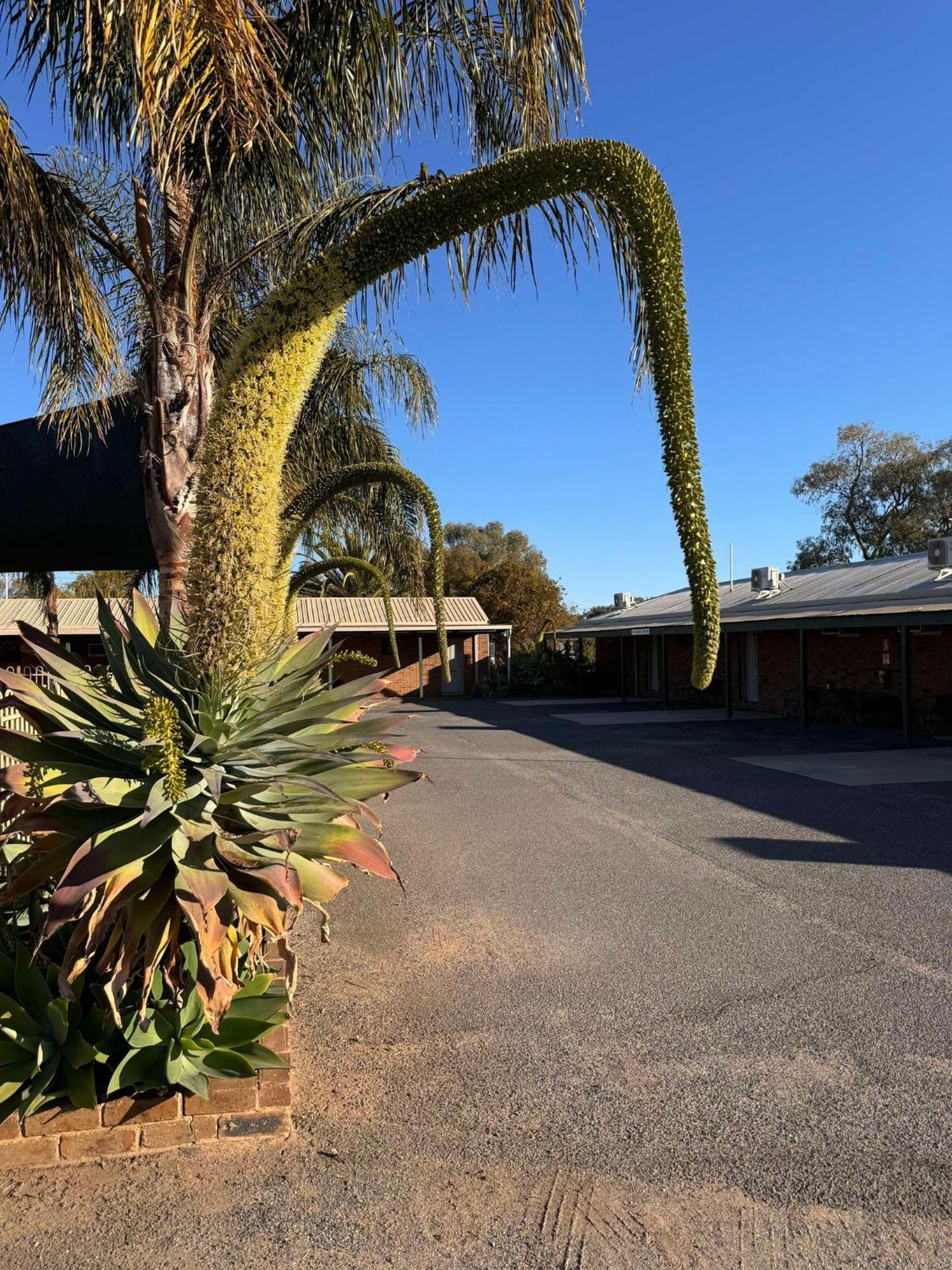 Tooleybuc Motel Bagian luar foto